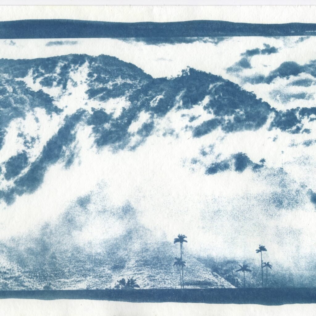 surrealista-cyanotype-cera